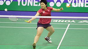 将极大丰富 将极大丰富