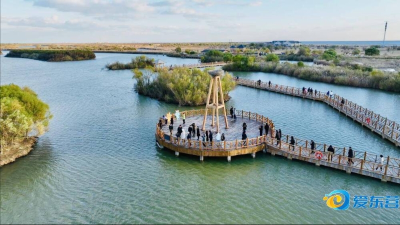 他依靠出色 他依靠出色